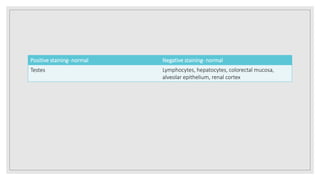 Negative staining- normalPositive staining- normal
Lymphocytes, hepatocytes, colorectal mucosa,
alveolar epithelium, renal cortex
Testes
 