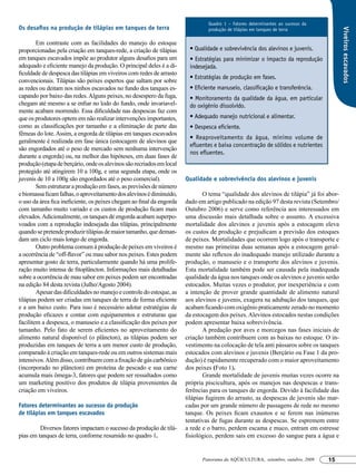 Quadro 1 – Fatores determinantes ao sucesso da
Os desafios na produção de tilápias em tanques de terra




                                                                                                                                         Viveiros escavados
                                                                                produção de tilápias em tanques de terra

        Em contraste com as facilidades do manejo do estoque
proporcionadas pela criação em tanques-rede, a criação de tilápias      • Qualidade e sobrevivência dos alevinos e juvenis.
em tanques escavados impõe ao produtor alguns desafios para um          • Estratégias para minimizar o impacto da reprodução
adequado e eficiente manejo da produção. O principal deles é a di-      indesejada.
ficuldade de despesca das tilápias em viveiros com redes de arrasto
                                                                        • Estratégias de produção em fases.
convencionais. Tilápias são peixes espertos que saltam por sobre
as redes ou deitam nos ninhos escavados no fundo dos tanques es-        • Eficiente manuseio, classificação e transferência.
capando por baixo das redes. Alguns peixes, no desespero da fuga,       • Monitoramento da qualidade da água, em particular
chegam até mesmo a se enfiar no lodo do fundo, onde invariavel-         do oxigênio dissolvido.
mente acabam morrendo. Essa dificuldade nas despescas faz com
que os produtores optem em não realizar intervenções importantes,       • Adequado manejo nutricional e alimentar.
como as classificações por tamanho e a eliminação de parte das          • Despesca eficiente.
fêmeas do lote. Assim, a engorda de tilápias em tanques escavados
                                                                        • Reaproveitamento da água, mínimo volume de
geralmente é realizada em fase única (estocagem de alevinos que
                                                                        efluentes e baixa concentração de sólidos e nutrientes
são engordados até o peso de mercado sem nenhuma intervenção
                                                                        nos efluentes.
durante a engorda) ou, na melhor das hipóteses, em duas fases de
produção (etapa de berçário, onde os alevinos são recriados em local
protegido até atingirem 10 a 100g, e uma segunda etapa, onde os
juvenis de 10 a 100g são engordados até o peso comercial).             Qualidade e sobrevivência dos alevinos e juvenis
        Sem estruturar a produção em fases, as previsões de número
e biomassa ficam falhas, o aproveitamento dos alevinos é diminuído,            O tema “qualidade dos alevinos de tilápia” já foi abor-
o uso da área fica ineficiente, os peixes chegam ao final da engorda   dado em artigo publicado na edição 97 desta revista (Setembro/
com tamanho muito variado e os custos de produção ficam mais           Outubro 2006) e serve como referência aos interessados em
elevados. Adicionalmente, os tanques de engorda acabam superpo-        uma discussão mais detalhada sobre o assunto. A excessiva
voados com a reprodução indesejada das tilápias, principalmente        mortalidade dos alevinos e juvenis após a estocagem eleva
quando se pretende produzir tilápias de maior tamanho, que deman-      os custos de produção e prejudicam a previsão dos estoques
dam um ciclo mais longo de engorda.                                    de peixes. Mortalidades que ocorrem logo após o transporte e
        Outro problema comum à produção de peixes em viveiros é        mesmo nas primeiras duas semanas após a estocagem geral-
a ocorrência de “off-flavor” ou mau sabor nos peixes. Estes podem      mente são reflexos do inadequado manejo utilizado durante a
apresentar gosto de terra, particularmente quando há uma prolife-      produção, o manuseio e o transporte dos alevinos e juvenis.
ração muito intensa de fitoplâncton. Informações mais detalhadas       Esta mortalidade também pode ser causada pela inadequada
sobre a ocorrência de mau sabor em peixes podem ser encontradas        qualidade da água nos tanques onde os alevinos e juvenis serão
na edição 84 desta revista (Julho/Agosto 2004).                        estocados. Muitas vezes o produtor, por inexperiência e com
        Apesar das dificuldades no manejo e controle do estoque, as    a intenção de prover grande quantidade de alimento natural
tilápias podem ser criadas em tanques de terra de forma eficiente      aos alevinos e juvenis, exagera na adubação dos tanques, que
e a um baixo custo. Para isso é necessário adotar estratégias de       acabam ficando com oxigênio praticamente zerado no momento
produção eficazes e contar com equipamentos e estruturas que           da estocagem dos peixes. Alevinos estocados nestas condições
facilitem a despesca, o manuseio e a classificação dos peixes por      podem apresentar baixa sobrevivência.
tamanho. Pelo fato de serem eficientes no aproveitamento do                    A predação por aves e morcegos nas fases iniciais de
alimento natural disponível (o plâncton), as tilápias podem ser        criação também contribuem com as baixas no estoque. O in-
produzidas em tanques de terra a um menor custo de produção,           vestimento na colocação de tela anti pássaros sobre os tanques
comparado à criação em tanques-rede ou em outros sistemas mais         estocados com alevinos e juvenis (Berçário ou Fase 1 da pro-
intensivos. Além disso, contribuem com a fixação de gás carbônico      dução) é rapidamente recuperado com o maior aproveitamento
(incorporado no plâncton) em proteína de pescado e sua carne           dos peixes (Foto 1).
acumula mais ômega-3, fatores que podem ser ressaltados como                   Grande mortalidade de juvenis muitas vezes ocorre na
um marketing positivo dos produtos de tilápia provenientes da          própria piscicultura, após os manejos nas despescas e trans-
criação em viveiros.                                                   ferências para os tanques de engorda. Devido à facilidade das
                                                                       tilápias fugirem do arrasto, as despescas de juvenis são mar-
Fatores determinantes ao sucesso da produção                           cadas por um grande número de passagens de rede no mesmo
de tilápias em tanques escavados                                       tanque. Os peixes ficam exaustos e se ferem nas inúmeras
                                                                       tentativas de fugas durante as despescas. Se espremem entre
         Diversos fatores impactam o sucesso da produção de tilá-      a rede e o barro, perdem escama e muco, entram em estresse
pias em tanques de terra, conforme resumido no quadro 1.               fisiológico, perdem sais em excesso do sangue para a água e


                                                                              Panorama da AQÜICULTURA, setembro, outubro, 2009   15
 