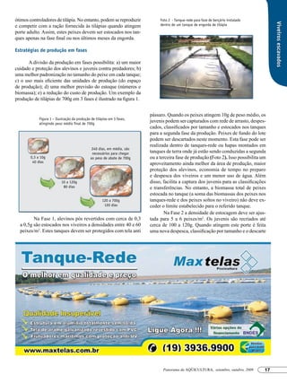 ótimos controladores de tilápia. No entanto, podem se reproduzir             Foto 2 - Tanque-rede para fase de berçário instalado




                                                                                                                                         Viveiros escavados
e competir com a ração fornecida às tilápias quando atingem                  dentro de um tanque de engorda de tilápia
porte adulto. Assim, estes peixes devem ser estocados nos tan-
ques apenas na fase final ou nos últimos meses da engorda.

Estratégias de produção em fases

       A divisão da produção em fases possibilita: a) um maior
cuidado e proteção dos alevinos e juvenis contra predadores; b)
uma melhor padronização no tamanho do peixe em cada tanque;
c) o uso mais eficiente das unidades de produção (do espaço
de produção); d) uma melhor previsão do estoque (números e
biomassa); e) a redução do custo de produção. Um exemplo da
produção de tilápias de 700g em 3 fases é ilustrado na figura 1.


                                                                        pássaro. Quando os peixes atingem 10g de peso médio, os
            Figura 1 – Ilustração da produção de tilápias em 3 fases,
            atingindo peso médio final de 700g
                                                                        juvenis podem ser capturados com rede de arrasto, despes-
                                                                        cados, classificados por tamanho e estocados nos tanques
                                                                        para a segunda fase da produção. Peixes de fundo do lote
                                                                        podem ser descartados neste momento. Esta fase pode ser
                                                                        realizada dentro de tanques-rede ou hapas montados em
                                              240 dias, em média, são
                                              necessários para chegar   tanques de terra onde já estão sendo conduzidas a segunda
       0,3 a 10g                             ao peso de abate de 700g   ou a terceira fase de produção (Foto 2). Isso possibilita um
        40 dias                                                         aproveitamento ainda melhor da área de produção, maior
                                                                        proteção dos alevinos, economia de tempo no preparo
                                                                        e despesca dos viveiros e um menor uso de água. Além
                          10 a 120g                                     disso, facilita a captura dos juvenis para as classificações
                           80 dias                                      e transferências. No entanto, a biomassa total de peixes
                                                                        estocada no tanque (a soma das biomassas dos peixes nos
                                                     120 a 700g         tanques-rede e dos peixes soltos no viveiro) não deve ex-
                                                      120 dias          ceder o limite estabelecido para o referido tanque.
                                                                               Na Fase 2 a densidade de estocagem deve ser ajus-
         Na Fase 1, alevinos pós revertidos com cerca de 0,3            tada para 5 a 6 peixes/m2. Os juvenis são recriados até
  a 0,5g são estocados nos viveiros a densidades entre 40 e 60          cerca de 100 a 120g. Quando atingem este porte é feita
  peixes/m2. Estes tanques devem ser protegidos com tela anti           uma nova despesca, classificação por tamanho e o descarte




                                                                              Panorama da AQÜICULTURA, setembro, outubro, 2009      17
 