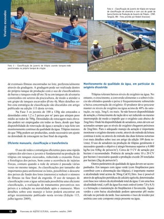 Foto 4 – Classificação de juvenis de tilápia em tanque
                                                                                                              de classificação de alvenaria e com uso de grade de
Viveiros escavados

                                                                                                              barra (Centro de Produção de Juvenis de Tilápia – CPAT.
                                                                                                              Tangará, RN – Foto provida por Robert Krasnow)




                     Foto 3 – Classificação de juvenis de tilápia usando tanques-rede
                     posicionados no próprio tanque de criação




                     de eventuais fêmeas encontradas no lote, preferencialmente         Monitoramento da qualidade da água, em particular do
                     através da gradagem. A gradagem pode ser realizada dentro          oxigênio dissolvido
                     do próprio tanque de produção com o uso de classificadores
                     de barras e tanques-rede (Foto 3) ou em tanques de alvenaria               Tilápias toleram baixos níveis de oxigênio na água. No
                     construídos em setores da piscicultura, de modo a atender a        entanto, o crescimento, a conversão alimentar e a sobrevivên-
                     um grupo de tanques escavados (Foto 4). Mais detalhes so-          cia são afetados quando o peixe é frequentemente submetido
                     bre esta estratégia de classificação são discutidos em artigo      a baixa concentração de oxigênio. O produtor deve procurar
                     publicado na edição 113 desta revista.                             manter os níveis de oxigênio na água acima de 40% da satu-
                            Na Fase 3 os juvenis de 100 a 120g são estocados a          ração, ou seja, 3mg/L ou mais. Se não houver disponibilidade
                     densidades entre 1,2 e 2 peixes por m2 para que atinjam peso       de aeração, o fornecimento de ração deve ser reduzido ou mesmo
                     médio ao redor de 700g. Densidades de estocagem mais eleva-        interrompido de modo a impedir que o oxigênio caia abaixo de
                     das podem ser empregadas em todas as fases, desde que haja         2mg/litro. Onde há disponibilidade de aeradores, estes devem ser
                     disponibilidade de renovação de água e aeração e seja feito um     acionados sempre que os níveis de oxigênio chegarem próximos
                     monitoramento contínuo da qualidade da água. Tilápias maiores      de 2mg/litro. Para o adequado manejo da aeração é importante
                     do que 700g podem ser produzidas, sendo necessário um ajuste       monitorar o oxigênio durante a noite, através do método da leitura
                     na densidade de estocagem na fase final da engorda.                contínua à noite ou através do método das duas leituras noturnas
                                                                                        (ver mais detalhes sobre isso em artigo da edição 109 desta re-
                     Eficiente manuseio, classificação e transferência                  vista). O uso de aeradores na produção de tilápias geralmente é
                                                                                        necessário quando o objetivo é atingir biomassa superior a 8.000
                             O uso de redes e estratégias eficientes para uma rápida    kg/ha (ou 0,8kg de peixes/m2). Cerca de 5 CV de aeração por
                     captura dos alevinos e juvenis é fundamental na produção de        hectare é recomendado. Potência de aeração entre 10 e 20 CV
                     tilápias em tanques escavados, reduzindo a exaustão física         por hectare é necessária quando a produção excede 20 toneladas
                     e fisiológica dos peixes, bem como a ocorrência de injúrias        por hectare (2kg de peixes/m2).
                     físicas, comuns quando a rede de arrasto é passada várias                  Outros parâmetros de qualidade de água devem ser acom-
                     vezes no mesmo tanque. As classificações por tamanho são           panhados. Em tanques com água verde (com fitoplâncton para
                     importantes para uniformizar os lotes, possibilitar o descarte     contribuir com a alimentação das tilápias), é importante manter
                     dos peixes do fundo dos lotes (menores) e reduzir o número         a alcalinidade total acima de 30mg CaCO3/litro. Isso é possível
                     de fêmeas na fase final da engorda. O uso de tanques de            através de aplicações periódicas de calcário agrícola, determinadas
                     classificação com a água salinizada possibilita uma eficiente      com base nos valores da alcalinidade total da água. Com uma boa
                     classificação, a realização de tratamentos preventivos nos         alcalinidade total, o pH da água fica mais estável (entre 7,0 e 8,5)
                     peixes e a redução na mortalidade após o manuseio. Mais            e a formação e manutenção do fitoplâncton é favorecida. Águas
                     detalhes sobre este manejo o leitor poderá encontrar em            verdes e com baixa alcalinidade podem apresentar pH muito
                     artigo recentemente publicado nesta revista (Edição 115,           elevado no período da tarde. Isso aumenta o risco de toxidez por
                     julho/agosto 2009).                                                amônia caso este composto esteja presente na água.



                      18         Panorama da AQÜICULTURA, setembro, outubro, 2009
 