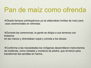 Pan de maíz como ofrendaDesde tiempos prehispánicos ya se elaboraban tortitas de maíz para usos ceremoniales en ofrendas. Durante las ceremonias, la gente se dirigía a sus terrenos con braseros en las manos y ofrendaban copal y comida a los dioses. Conforme a las necesidades los indígenas desarrollaron instrumentos de molienda, como metates y morteros de piedra, que sirvieron para transformar las semillas en harina. 