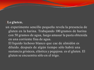 Le gluten.
un experimento sencillo pequeña revela la presencia de
gluten en la harina. Trabajando 100 gramos de harina
con 50 gramos de agua, luego amasar la pasta obtenida
en una corriente fina de agua.
El líquido lechoso blanco que cae de almidón es
diluido. después de algún tiempo sólo habrá una
sustancia grisácea, elástica y pegajosa. es el gluten. El
gluten se encuentra sólo en el trigo.
 