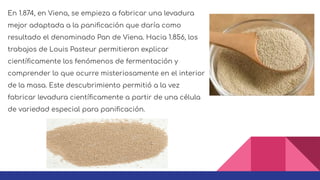En 1.874, en Viena, se empieza a fabricar una levadura
mejor adaptada a la paniﬁcación que daría como
resultado el denominado Pan de Viena. Hacia 1.856, los
trabajos de Louis Pasteur permitieron explicar
cientíﬁcamente los fenómenos de fermentación y
comprender lo que ocurre misteriosamente en el interior
de la masa. Este descubrimiento permitió a la vez
fabricar levadura cientíﬁcamente a partir de una célula
de variedad especial para paniﬁcación.
 