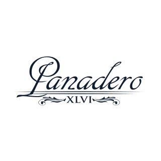 My Work: Client Lisa Alley-Zarkades & Her Award Winning Pure Bred Spanish Stallion Panadero XLVI