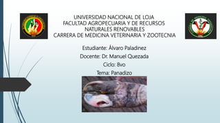 UNIVERSIDAD NACIONAL DE LOJA
FACULTAD AGROPECUARIA Y DE RECURSOS
NATURALES RENOVABLES
CARRERA DE MEDICINA VETERINARIA Y ZOOTECNIA
Estudiante: Álvaro Paladinez
Docente: Dr. Manuel Quezada
Ciclo: 8vo
Tema: Panadizo
 
