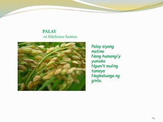 PALAY
ni Ildefonso Santos
Palay siyang
matino
Nang humangi’y
yumuko
Nguni’t muling
tumayo
Nagkabunga ng
ginto.
64
 