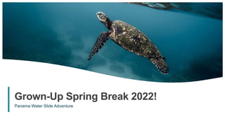 1
Grown-Up Spring Break 2022!
Panama Water Slide Adventure
 