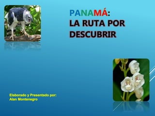 Elaborado y Presentado por:
Alan Montenegro
PANAMÁ:
LA RUTA POR
DESCUBRIR
 