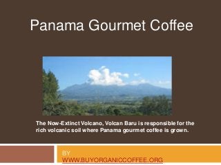 BY
WWW.BUYORGANICCOFFEE.ORG
Panama Gourmet Coffee
The Now-Extinct Volcano, Volcan Baru is responsible for the
rich volcanic soil where Panama gourmet coffee is grown.
 