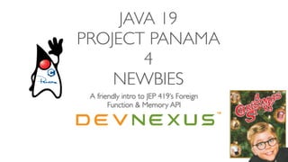 JAVA 19
PROJECT PANAMA
 
4
 
NEWBIES
A friendly intro to JEP 419’s Foreign
Function & Memory API
 