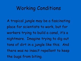Working Conditions A tropical jungle may be a fascinating place for scientists to work, but for workers trying to build a canal, it’s a nightmare.  Imagine trying to dig out tons of dirt in a jungle like this.  And  there was no insect repellent to keep the bugs from biting. 