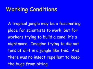 Working Conditions A tropical jungle may be a fascinating place for scientists to work, but for workers trying to build a canal it’s a nightmare.  Imagine trying to dig out tons of dirt in a jungle like this.  And  there was no insect repellent to keep the bugs from biting. 