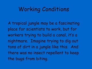 Working Conditions

A tropical jungle may be a fascinating
place for scientists to work, but for
workers trying to build a canal, it’s a
nightmare. Imagine trying to dig out
tons of dirt in a jungle like this. And
there was no insect repellent to keep
the bugs from biting.
 