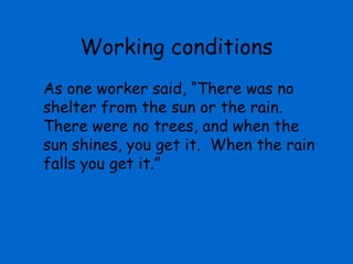 Working conditions
As one worker said, “There was no
shelter from the sun or the rain.
There were no trees, and when the
sun shines, you get it. When the rain
falls you get it.”
 