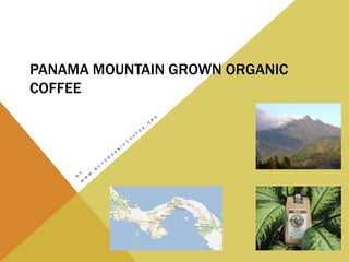 PANAMA MOUNTAIN GROWN ORGANIC
COFFEE
 