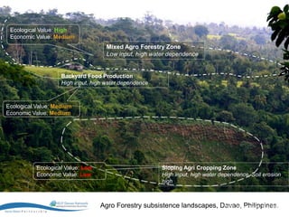 Ecological Value: High
 Economic Value: Medium
                                     Mixed Agro Forestry Zone
                                     Low input, high water dependence


                    Backyard Food Production
                    High input, high water dependence



Ecological Value: Medium
Economic Value: Medium




           Ecological Value: Low                          Sloping Agri Cropping Zone
           Economic Value: Low                            High input, high water dependence, Soil erosion
                                                          high



                                   Agro Forestry subsistence landscapes, Davao, Philippines. ©
                                                                          Photo: Declan Hearne, HELP Davao
 