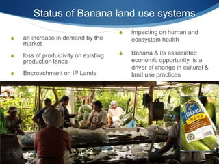 Status of Banana land use systems
                                       S   impacting on human and
S   an increase in demand by the           ecosystem health
    market
S   loss of productivity on existing   S   Banana & its associated
    production lands                       economic opportunity is a
                                           driver of change in cultural &
S   Encroachment on IP Lands               land use practices
 