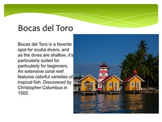 Bocas del Toro
Bocas del Toro is a favorite
spot for scuba divers, and
as the dives are shallow, it’s
particularly suited for
particularly for beginners.
An extensive coral reef
features colorful varieties of
tropical fish. Discovered by
Christopher Columbus in
1502.

 