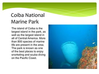 Coiba National
Marine Park
The island of Coiba is the
largest island in the park, as
well as the largest island in
all of Central America. More
than 800 species of marine
life are present in the area.
The park is known as one
of the best places to enjoy
snorkeling and scuba diving
on the Pacific Coast.

 