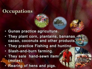 OccupationsOccupations
• Gunas practice agriculture.Gunas practice agriculture.
• They plant corn, plantains, bananas,They plant corn, plantains, bananas,
cacao, coconuts and other products.cacao, coconuts and other products.
• They practice Fishing and hunting.They practice Fishing and hunting.
• Slash-and-burn farming.Slash-and-burn farming.
• They sale hand-sewn itemsThey sale hand-sewn items
(molas).(molas).
• Rearing of hens and pigs.Rearing of hens and pigs.
 