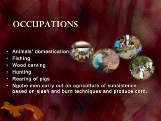 OCCUPATIONSOCCUPATIONS
• Animals’ domesticationAnimals’ domestication
• FishingFishing
• Wood carvingWood carving
• HuntingHunting
• Rearing of pigsRearing of pigs
• Ngobe men carry out an agriculture of subsistenceNgobe men carry out an agriculture of subsistence
based on slash and burn techniques and produce corn.based on slash and burn techniques and produce corn.
 