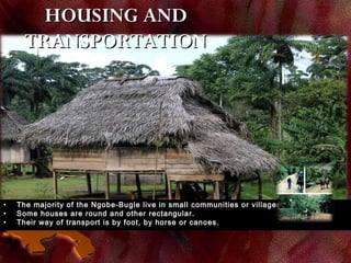 HOUSING ANDHOUSING AND
TRANSPORTATIONTRANSPORTATION
• The majority of the Ngobe-Bugle live in small communities or villages.The majority of the Ngobe-Bugle live in small communities or villages.
• Some houses are round and other rectangular.Some houses are round and other rectangular.
• Their way of transport is by foot, by horse or canoes.Their way of transport is by foot, by horse or canoes.
 