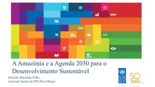 Haroldo Machado-Filho
Assessor Senior do PNUD no Brasil
AAmazônia e a Agenda 2030 para o
Desenvolvimento Sustentável
23
 