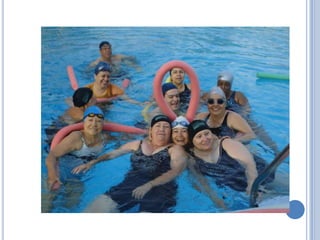 Panamericana 27 olga