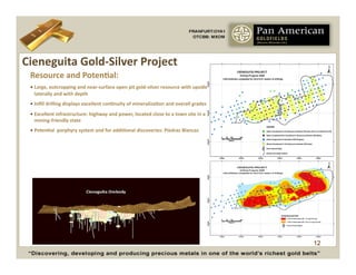 Cieneguita	
  Gold-­‐Silver	
  Project	
  
  Resource	
  and	
  PotenCal:	
  
  •  Large,	
  outcropping	
  and	
  near-­‐surface	
  open	
  pit	
  gold-­‐silver	
  resource	
  with	
  upside	
  
     laterally	
  and	
  with	
  depth	
  
  •  Inﬁll	
  drilling	
  displays	
  excellent	
  conCnuity	
  of	
  mineralizaCon	
  and	
  overall	
  grades	
  
  •  Excellent	
  infrastructure:	
  highway	
  and	
  power,	
  located	
  close	
  to	
  a	
  town	
  site	
  in	
  a	
  
     mining-­‐friendly	
  state	
  
  •  PotenCal	
  	
  porphyry	
  system	
  and	
  for	
  addiConal	
  discoveries:	
  Piedras	
  Blancas	
  




                                                                                                                              12
 