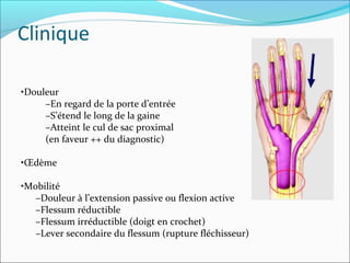 Clinique
•Douleur
–En regard de la porte d’entrée
–S’étend le long de la gaine
–Atteint le cul de sac proximal
(en faveur ++ du diagnostic)
•Œdème
•Mobilité
–Douleur à l’extension passive ou flexion active
–Flessum réductible
–Flessum irréductible (doigt en crochet)
–Lever secondaire du flessum (rupture fléchisseur)
 
