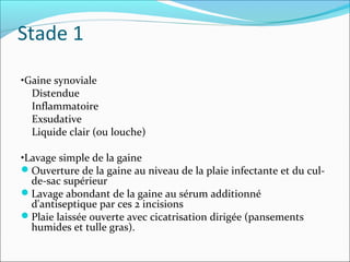 Stade 1
•Gaine synoviale
Distendue
Inflammatoire
Exsudative
Liquide clair (ou louche)
•Lavage simple de la gaine
Ouverture de la gaine au niveau de la plaie infectante et du cul-
de-sac supérieur
Lavage abondant de la gaine au sérum additionné
d'antiseptique par ces 2 incisions
Plaie laissée ouverte avec cicatrisation dirigée (pansements
humides et tulle gras).
 