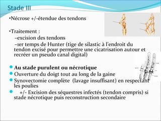 Stade III
•Nécrose +/-étendue des tendons
•Traitement :
–excision des tendons
–1er temps de Hunter (tige de silastic à l’endroit du
tendon excisé pour permettre une cicatrisation autour et
recréer un pseudo canal digital)
Au stade purulent ou nécrotique
Ouverture du doigt tout au long de la gaine
Synovectomie complète (lavage insuffisant) en respectant
les poulies
 +/- Excision des séquestres infectés (tendon compris) si
stade nécrotique puis reconstruction secondaire
 