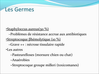Les Germes
•Staphyloccus aureus(50 %)
–Problèmes de résistance accrue aux antibiotiques
•Streptocoque βhémolytique (10 %)
–Grave ++ : nécrose tissulaire rapide
•Les autres
–Pasteurelloses (morsure chien ou chat)
–Anaérobies
–Streptocoque groupe milleri (toxicomanes)
 