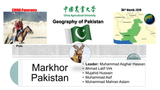 CHINA Panorama
Markhor
Pakistan
• Leader: Muhammad Asghar Hassan
• Ahmad Latif Virk
• Mujahid Hussain
• Muhammad Asif
• Muhammad Mahran Aslam
Polo
 