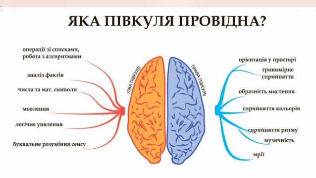 Ігри та вправи для синхронного розвитку обох півкуль мозку