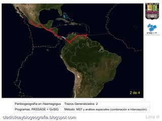 2 de 4

     Panbiogeografía en Haemagogus   Trazos Generalizados: 2
     Programas: PASSAGE + GvSIG      Método: MST y análisis espaciales (combinación e intercepción)

cladisticaybiogeografia.blogspot.com                                                              Liria ®
 
