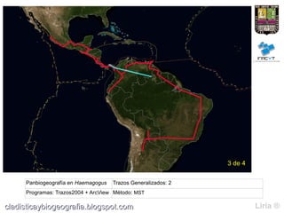 3 de 4

     Panbiogeografía en Haemagogus   Trazos Generalizados: 2
     Programas: Trazos2004 + ArcView Método: MST

cladisticaybiogeografia.blogspot.com                                    Liria ®
 