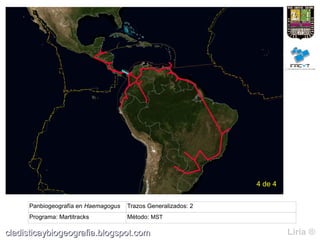 4 de 4

     Panbiogeografía en Haemagogus   Trazos Generalizados: 2
     Programa: Martitracks           Método: MST

cladisticaybiogeografia.blogspot.com                                    Liria ®
 