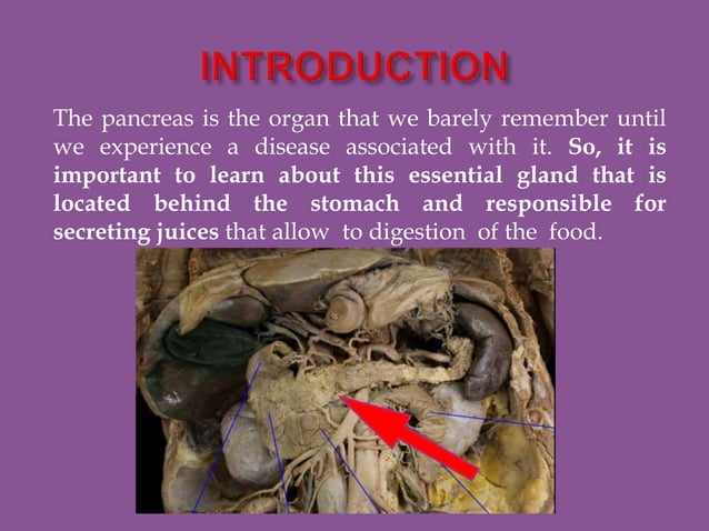 panc21-210201054136 (1).pdf