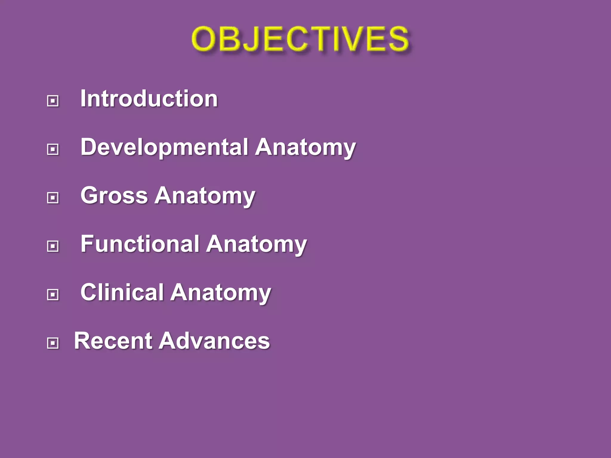 ANATOMY OF PANCREAS | PPT | Free Download
