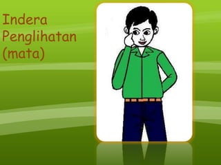 Indera
Penglihatan
(mata)
 