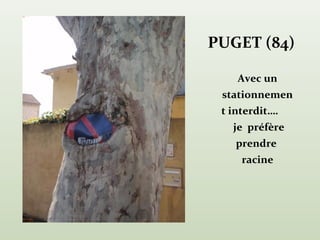 PUGET (84)

    Avec un
 stationnemen
 t interdit….
   je préfère
    prendre
     racine
 