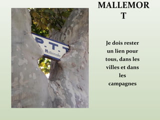 MALLEMOR
    T

 Je dois rester
 un lien pour
 tous, dans les
 villes et dans
      les
  campagnes
 