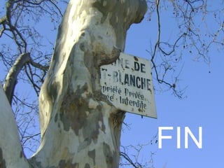 Merci d’avance,
parents, amies, amis
qui le recevez
  de penser à nous
         en nous
    envoyant vos
    découvertes .           FIN
       gerinolivier13@gmail.com
 