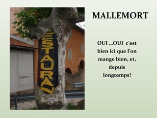 MALLEMORT


OUI …OUI c’est
bien ici que l’on
mange bien, et,
    depuis
  longtemps!
 
