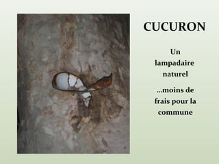 CUCURON
     Un
 lampadaire
   naturel

 …moins de
 frais pour la
  commune
 