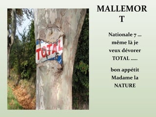 MALLEMOR
    T
 Nationale 7 …
  même là je
 veux dévorer
  TOTAL …..

  bon appétit
  Madame la
   NATURE
 