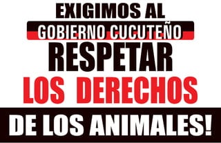 Pancart Exigimos AL Gobierno Cucuteno Respetar LOS ANIMALES