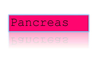 Pancreas
 