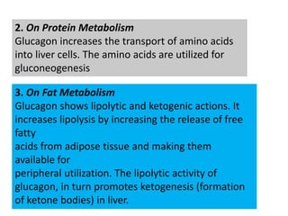 2. On Protein Metabolism
Glucagon increases the transport of amino acids
into liver cells. The amino acids are utilized for
gluconeogenesis
3. On Fat Metabolism
Glucagon shows lipolytic and ketogenic actions. It
increases lipolysis by increasing the release of free
fatty
acids from adipose tissue and making them
available for
peripheral utilization. The lipolytic activity of
glucagon, in turn promotes ketogenesis (formation
of ketone bodies) in liver.
 